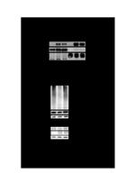 USP17L2 Antibody in Western Blot (WB)