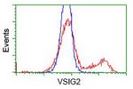VSIG2 Antibody in Flow Cytometry (Flow)
