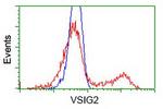 VSIG2 Antibody in Flow Cytometry (Flow)