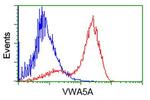 VWA5A Antibody in Flow Cytometry (Flow)