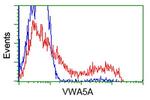 VWA5A Antibody in Flow Cytometry (Flow)