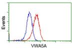 VWA5A Antibody in Flow Cytometry (Flow)