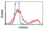 VWA5A Antibody in Flow Cytometry (Flow)