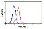 VWA5A Antibody in Flow Cytometry (Flow)