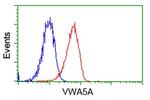 VWA5A Antibody in Flow Cytometry (Flow)