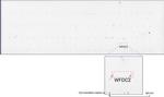 WFDC2 Antibody in Peptide array (ARRAY)