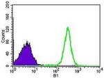 WHSC2 Antibody in Flow Cytometry (Flow)