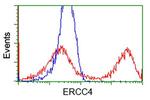 XPF Antibody in Flow Cytometry (Flow)