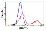 XPF Antibody in Flow Cytometry (Flow)