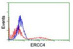 XPF Antibody in Flow Cytometry (Flow)