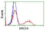 XPF Antibody in Flow Cytometry (Flow)