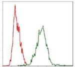 YAP1 Antibody in Flow Cytometry (Flow)