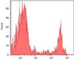 CD8 Antibody in Flow Cytometry (Flow)