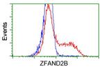 ZFAND2B Antibody in Flow Cytometry (Flow)