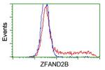 ZFAND2B Antibody in Flow Cytometry (Flow)