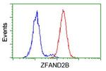 ZFAND2B Antibody in Flow Cytometry (Flow)