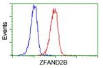 ZFAND2B Antibody in Flow Cytometry (Flow)