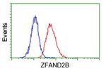 ZFAND2B Antibody in Flow Cytometry (Flow)