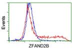 ZFAND2B Antibody in Flow Cytometry (Flow)