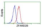 ZFAND2B Antibody in Flow Cytometry (Flow)