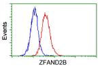 ZFAND2B Antibody in Flow Cytometry (Flow)