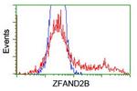 ZFAND2B Antibody in Flow Cytometry (Flow)