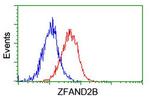 ZFAND2B Antibody in Flow Cytometry (Flow)