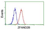 ZFAND2B Antibody in Flow Cytometry (Flow)