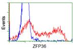 ZFP36 Antibody in Flow Cytometry (Flow)