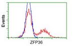 ZFP36 Antibody in Flow Cytometry (Flow)