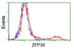 ZFP36 Antibody in Flow Cytometry (Flow)