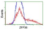 ZFP36 Antibody in Flow Cytometry (Flow)