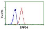 ZFP36 Antibody in Flow Cytometry (Flow)