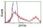 ZFP36 Antibody in Flow Cytometry (Flow)