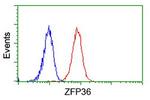 ZFP36 Antibody in Flow Cytometry (Flow)