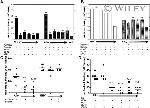 IFN gamma Antibody in Neutralization (Neu)