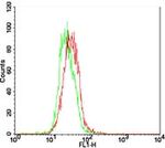 TLR7 Antibody in Flow Cytometry (Flow)