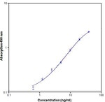 Human VEGF Receptor 3/FLT4 ELISA Kit