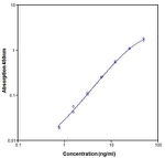 Human Annexin V ELISA Kit