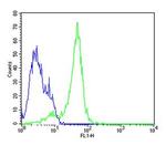 Nestin Antibody in Flow Cytometry (Flow)