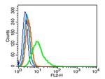 Phospho-CREB-1 (Ser133) Antibody in Flow Cytometry (Flow)