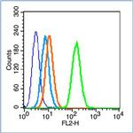 Insulin Receptor alpha Antibody in Flow Cytometry (Flow)