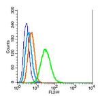 Caspase 9 Antibody in Flow Cytometry (Flow)