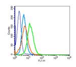 Estrogen receptor beta Antibody in Flow Cytometry (Flow)