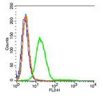 Neurokinin B receptor Antibody in Flow Cytometry (Flow)