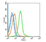 VEGFR1 Antibody in Flow Cytometry (Flow)