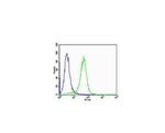 VEGF Antibody in Flow Cytometry (Flow)