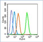 Insulin Receptor Beta Antibody in Flow Cytometry (Flow)