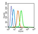 GLUT4 Antibody in Flow Cytometry (Flow)