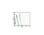 ARC/Arg3.1 Antibody in Flow Cytometry (Flow)